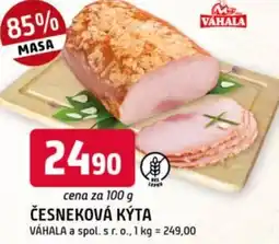 Trefa Česneková kýta nabídka