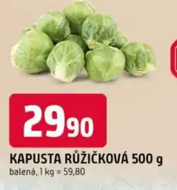 Trefa Kapusta růžičková nabídka
