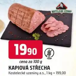 Trefa Kapiová střecha nabídka