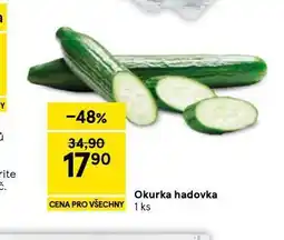 Tesco Okurka hadovka nabídka