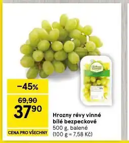 Tesco Hrozny révy vinné bílé bezeckové nabídka