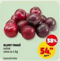 Penny Market Blumy tmavé nabídka