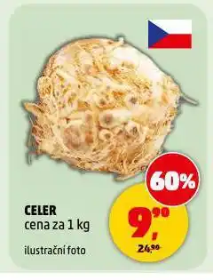 Penny Market Celer nabídka