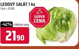 Trefa Ledový salát nabídka