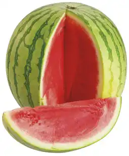 Trefa Meloun vodní bezsemenný 1kg nabídka