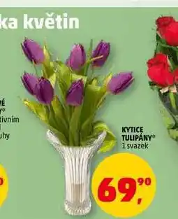 Penny Market KYTICE TULIPÁNY, 1 svazek nabídka