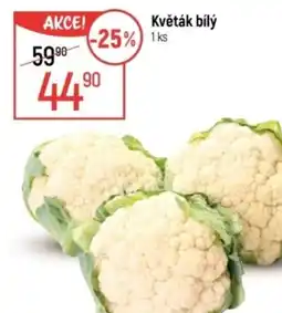 Globus Květák bílý nabídka