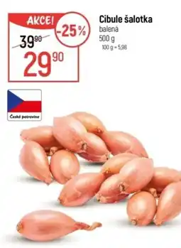Globus Cibule šalotka nabídka