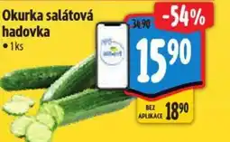Albert Okurka salátová hadovka nabídka