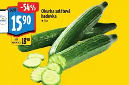 Albert Okurka salátová hadovka nabídka