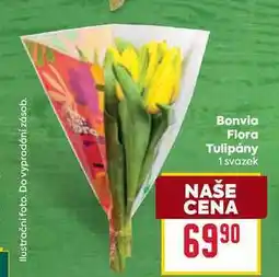 Billa Bonvia Flora Tulipány 1 svazek nabídka