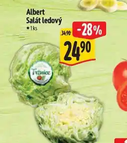Albert Albert Salát ledový 1ks nabídka