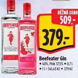 Albert Beefeater Gin nabídka