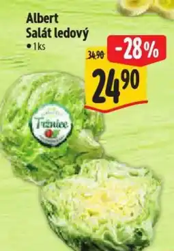 Albert Albert Salát ledový nabídka