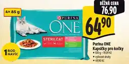 Albert Purina ONE Kapsičky pro kočky nabídka