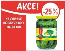Globus Na vybrané okurky značky machland nabídka