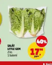 Penny Market Salát little gem nabídka