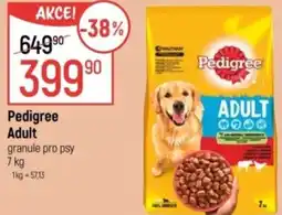 Globus Pedigree Adult granule pro psy nabídka