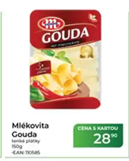 Tamda Foods Mlékovita Gouda nabídka
