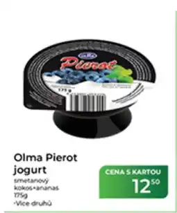 Tamda Foods OLMA Pierot jogurt nabídka