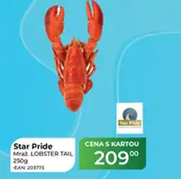 Tamda Foods Star Pride Mraz. Lobster Tail nabídka