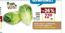 Billa Salát little gem nabídka