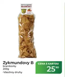Tamda Foods Zykmundovy B brambůrky nabídka
