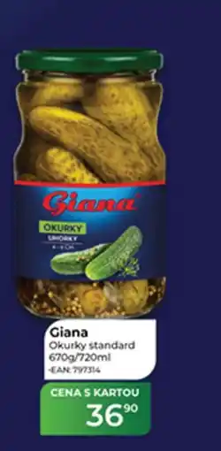 Tamda Foods Giana Okurky standard nabídka
