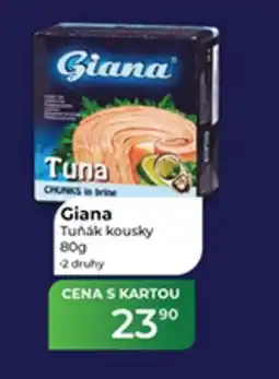 Tamda Foods Giana Tuňák kousky nabídka