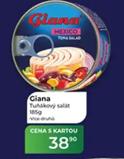 Tamda Foods Giana Tuňákový salát nabídka