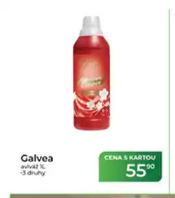 Tamda Foods Galvea aviváž nabídka