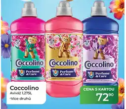 Tamda Foods Coccolino Aviváž nabídka