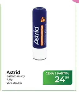 Tamda Foods Astrid balzám na rty nabídka