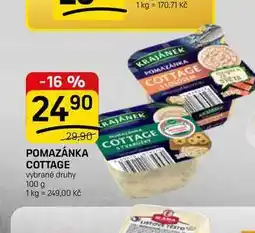 Flop POMAZÁNKA COTTAGE vybrané druhy nabídka