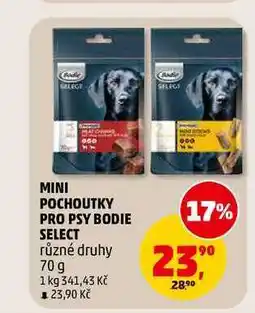 Penny Market MINI POCHOUTKY PRO PSY BODIE SELECT nabídka