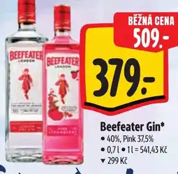 Albert Beefeater Gin nabídka