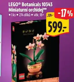 Albert LEGO® Botanicals 10343 Miniaturní orchidej nabídka