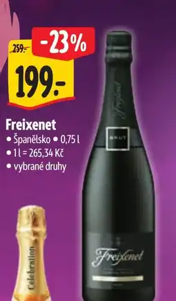 Albert Freixenet nabídka