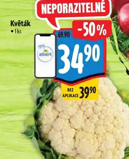 Albert Květák nabídka