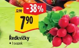 Albert Ředkvičky nabídka