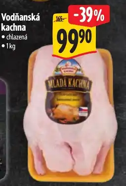 Albert Vodňanská kachna nabídka