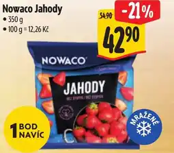 Albert Nowaco Jahody nabídka