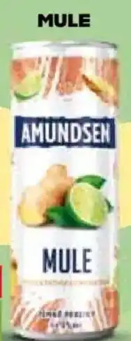 Ratio Amundsen Mule nabídka