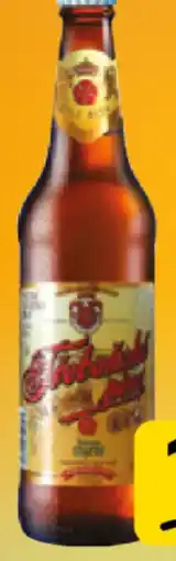 Flop Regent 11 třeboňské pivo nabídka