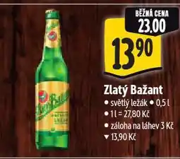 Albert Pivo zlatý bažant nabídka