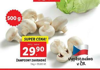 Lidl Žampiony zahradní nabídka