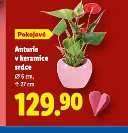 Lidl Anturie v keramice srdce nabídka
