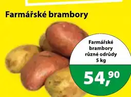 Fortel Farmářské brambory nabídka