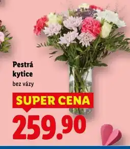 Lidl Pestrá kytice nabídka