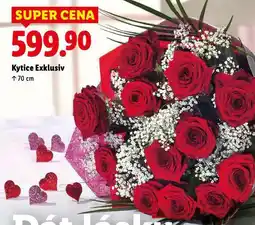 Lidl Kytice exklusiv nabídka